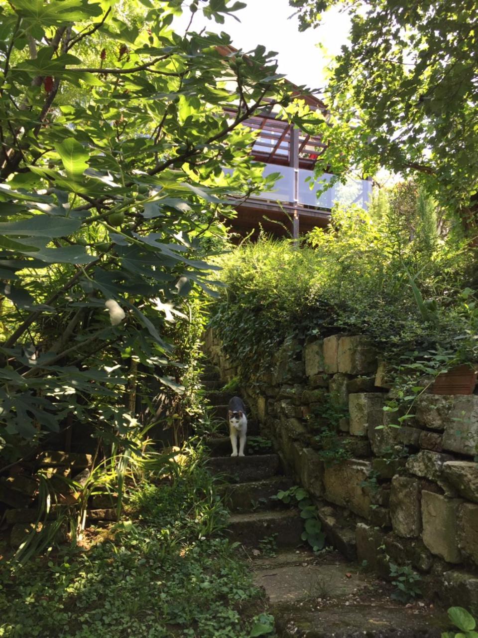 Pergola House In A Green Oasis With Fantastic View Apartment เวโทรวาราดิน ภายนอก รูปภาพ